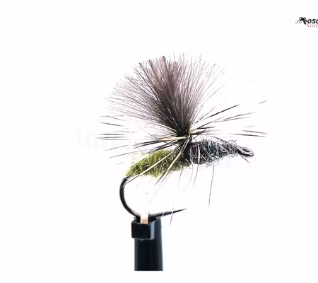 Dagslända Olive Dun #14