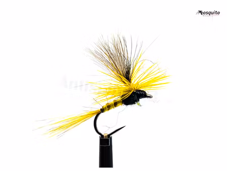 Sulphurea Biot Dun #14