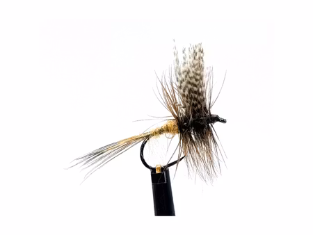 March Brown Button #14