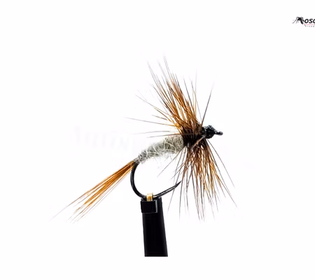 March Brown Classic #14