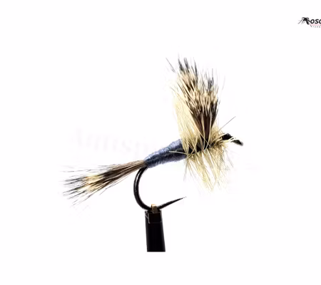 Gray Wulff Light #10