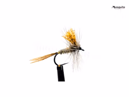 Atherton No:5 Dark #14
