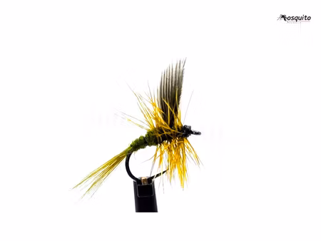 Olive Dun #16