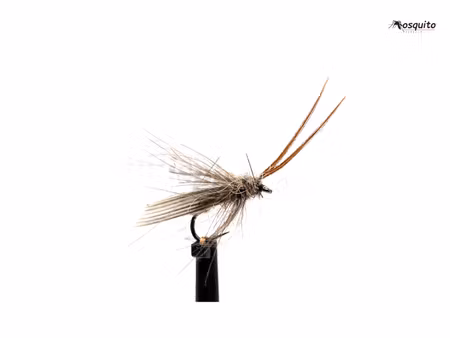 Adult Caddis #16
