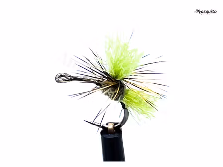 Dynamit Harry Olive #16