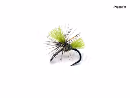 Dynamit Harry Olive #16