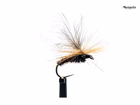 Mayfly Brown#12