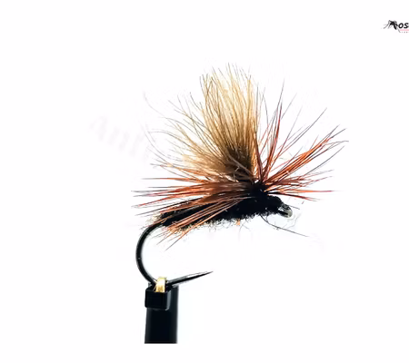 Mörk Brun Dagslända  #14