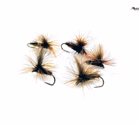 Mörk Brun Dagslända  #14