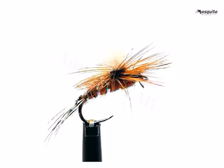 Baetis #18