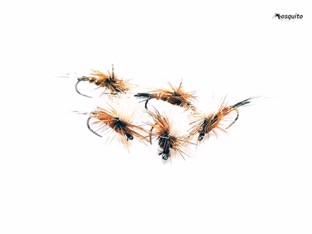 Baetis #18