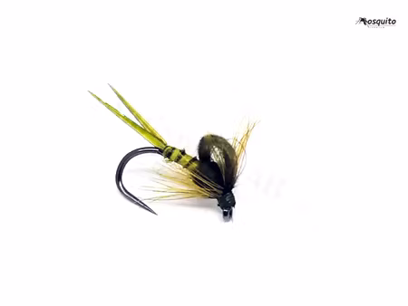Kläckare Olive #16