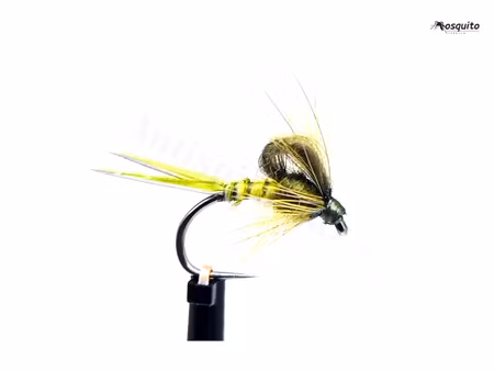 Kläckare Olive #16