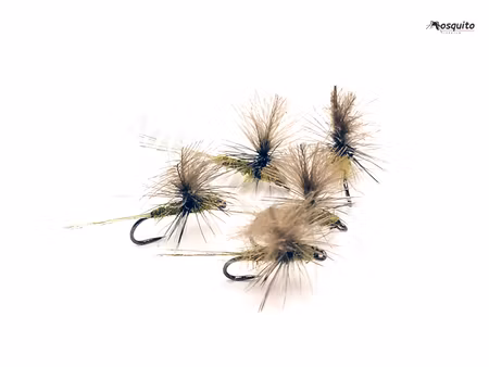 Dagslända Dun Olive