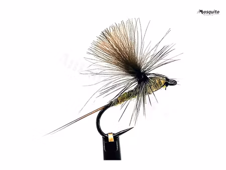 Dagslända Dun Olive