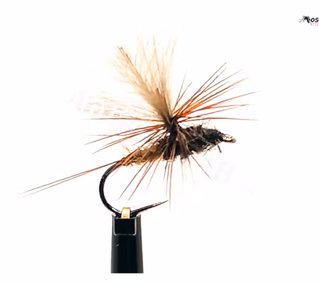 Dagslända Dun Brown