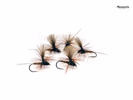 Dagslända Dun Brown