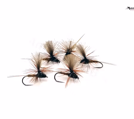 Dagslända Dun Brown