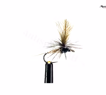 Dagslända Dun Grey Black