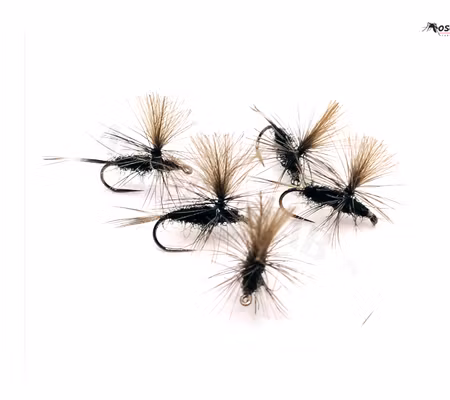 Dagslända Dun Black