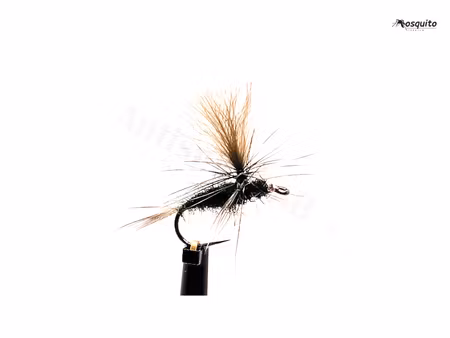 Dagslända Dun Black