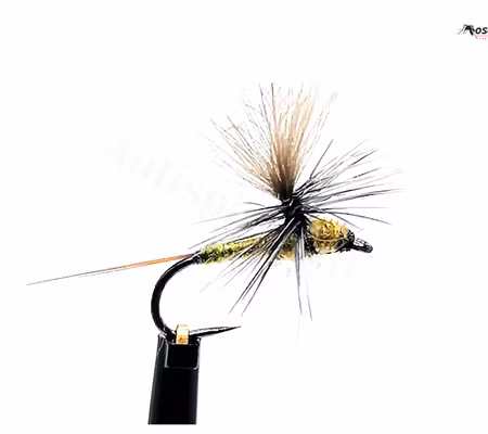 Dagslända Dun Golden Olive