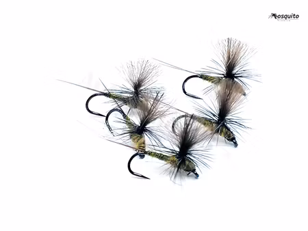 Dagslända Dun Golden Olive