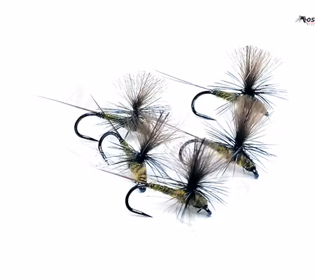 Dagslända Dun Golden Olive