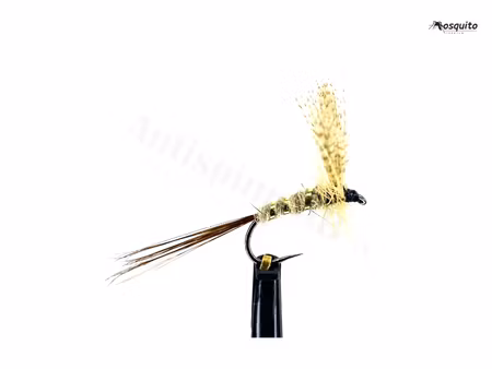 Atherton No:5 #14
