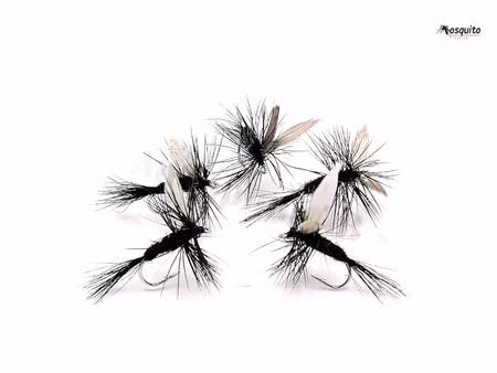 Black Gnat #14