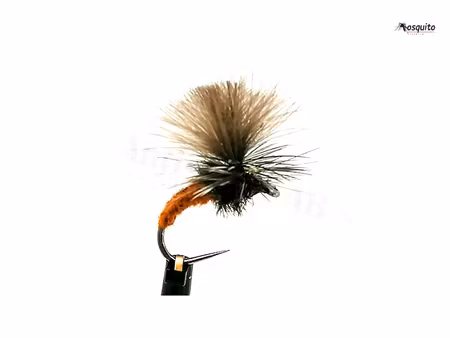 Klinkhammer Brun