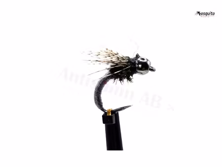Peacock Pearl Pupa BH #14