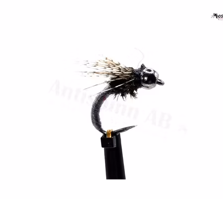 Peacock Pearl Pupa BH #14