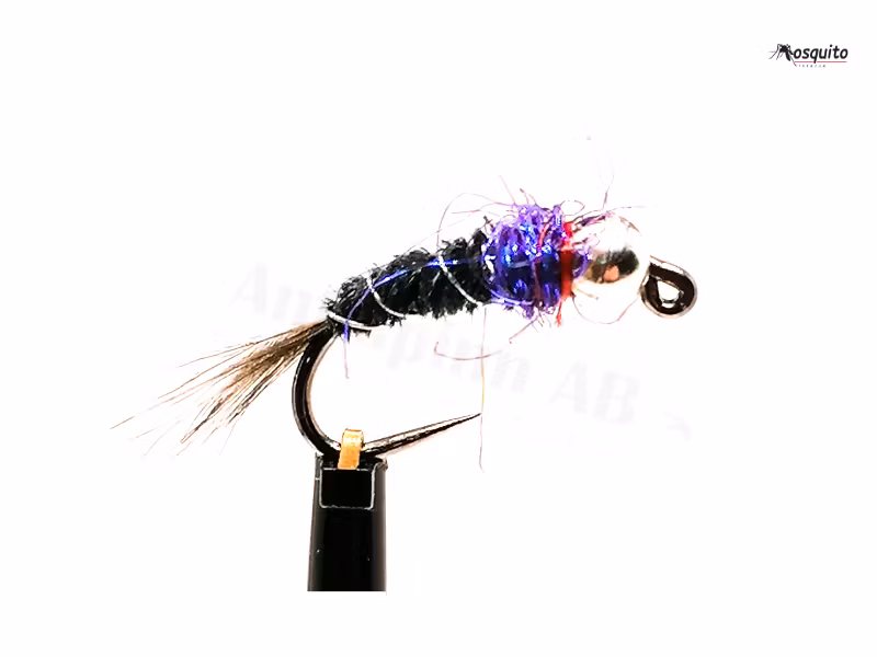 Black and Purple Tungstenshuvud