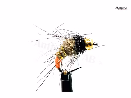 Buggy Pupa BH Gold #14