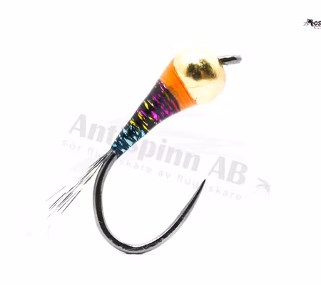 Black Warrior Perdigon BL # 16