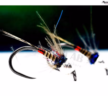 PQ2 Nymph BL Tungsten # 14