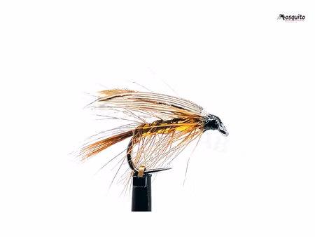 Wickhams Fancy #12
