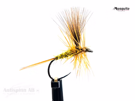 Catskill Olive Dun CDC Wings #16