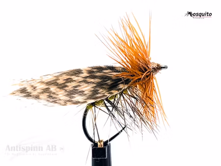 Henryville Special BL # 14