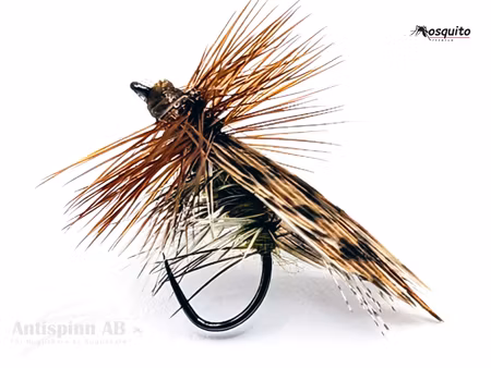 Henryville Special BL # 14