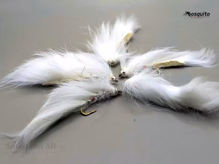 Zonker White Lion #8