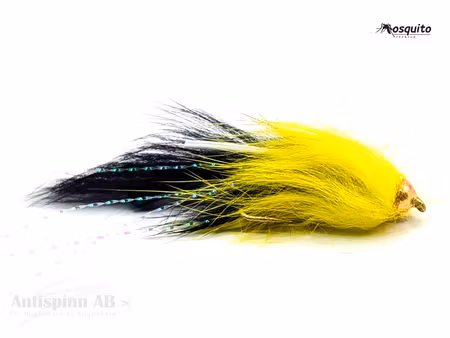 Superkaninen Black-Yellow #8