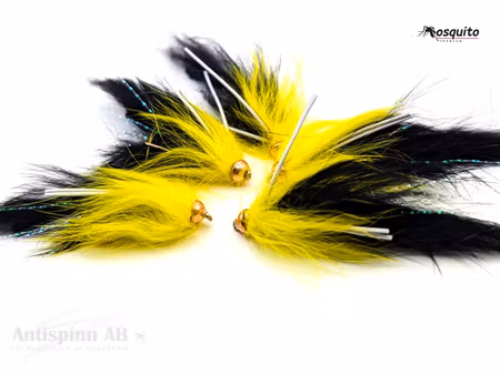 Superkaninen Black-Yellow #8