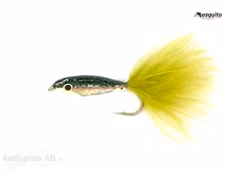 Janssens Minnow Rainbow Trout # 10