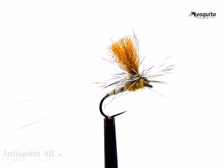 Aurivillii Strömslända #12