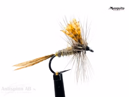 Atherton No:5 Dark #14