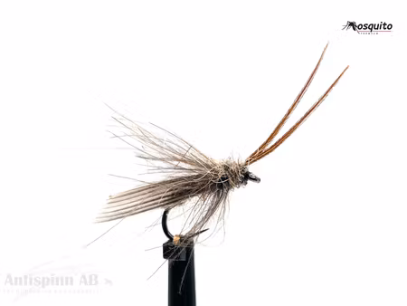 Adult Caddis #16