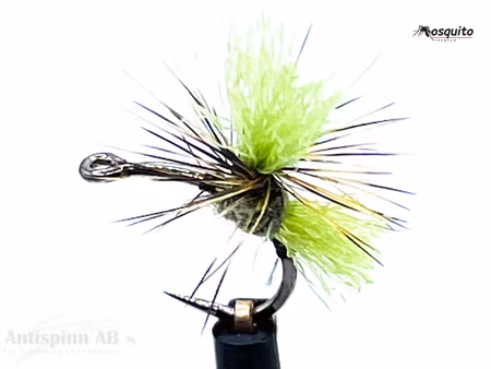 Dynamit Harry Olive #16