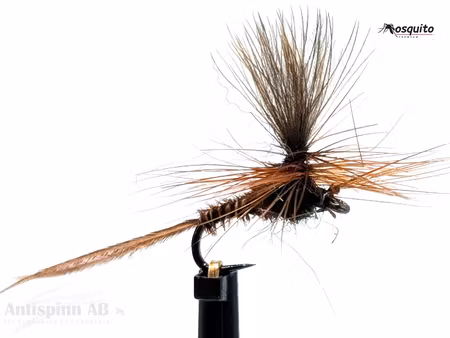 Dagslända Heptagenia